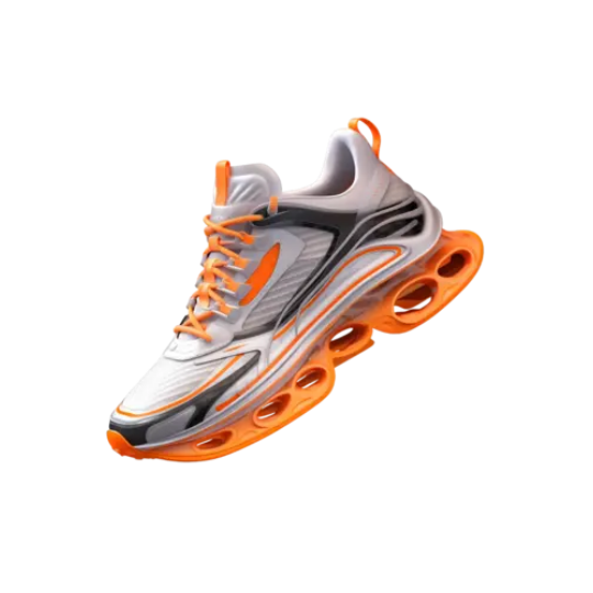 Shoe